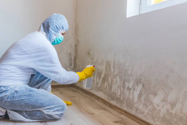Licensed Mold Testing service in Gilbert, AZ - WQB Mold Removal