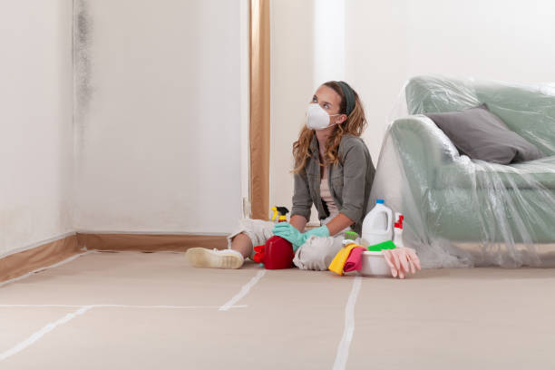 Reliable Mold Testing contractor in Gilbert, AZ by WQB Mold Removal